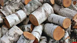 wood.jpeg