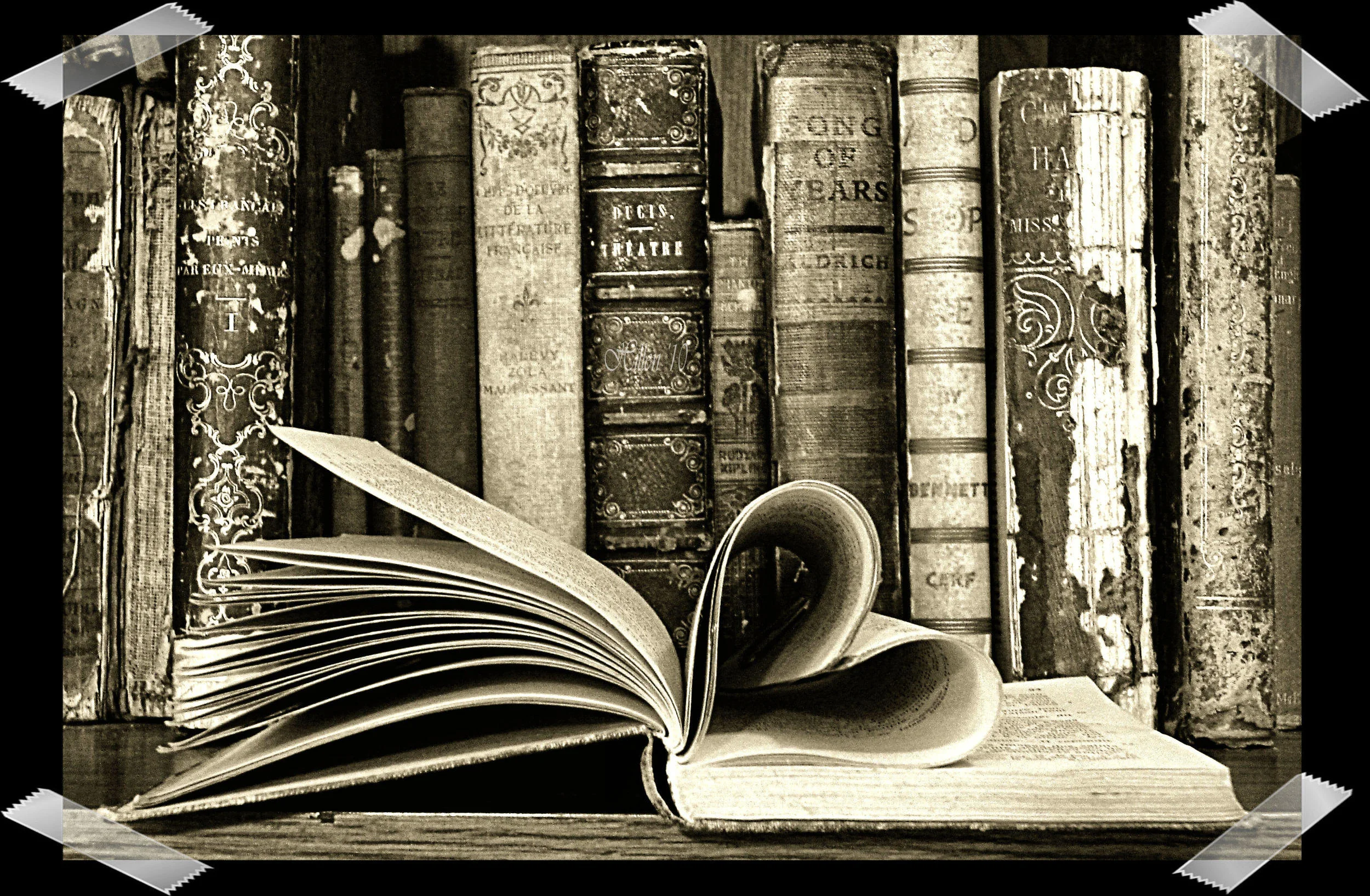 Unexpected Wonderful