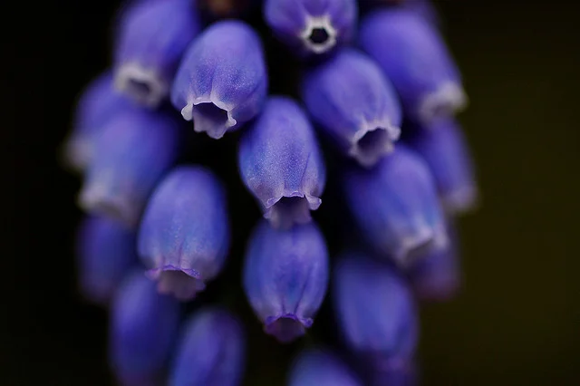 Things I've Learned Lately