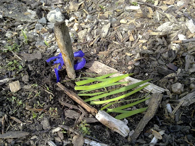 A Letter To Those Who Have Miscarried