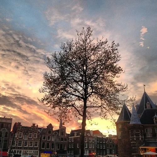 de(tales): grocery store