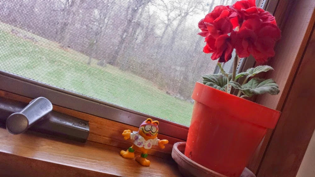 de(tales): windowsill