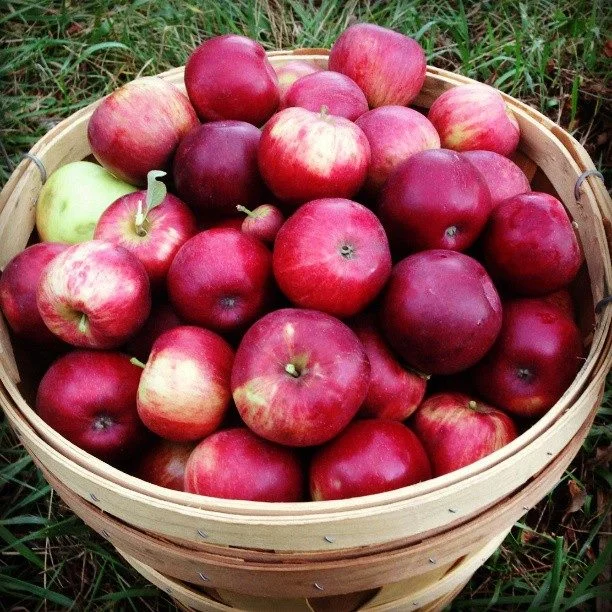 de(tales): apple pie