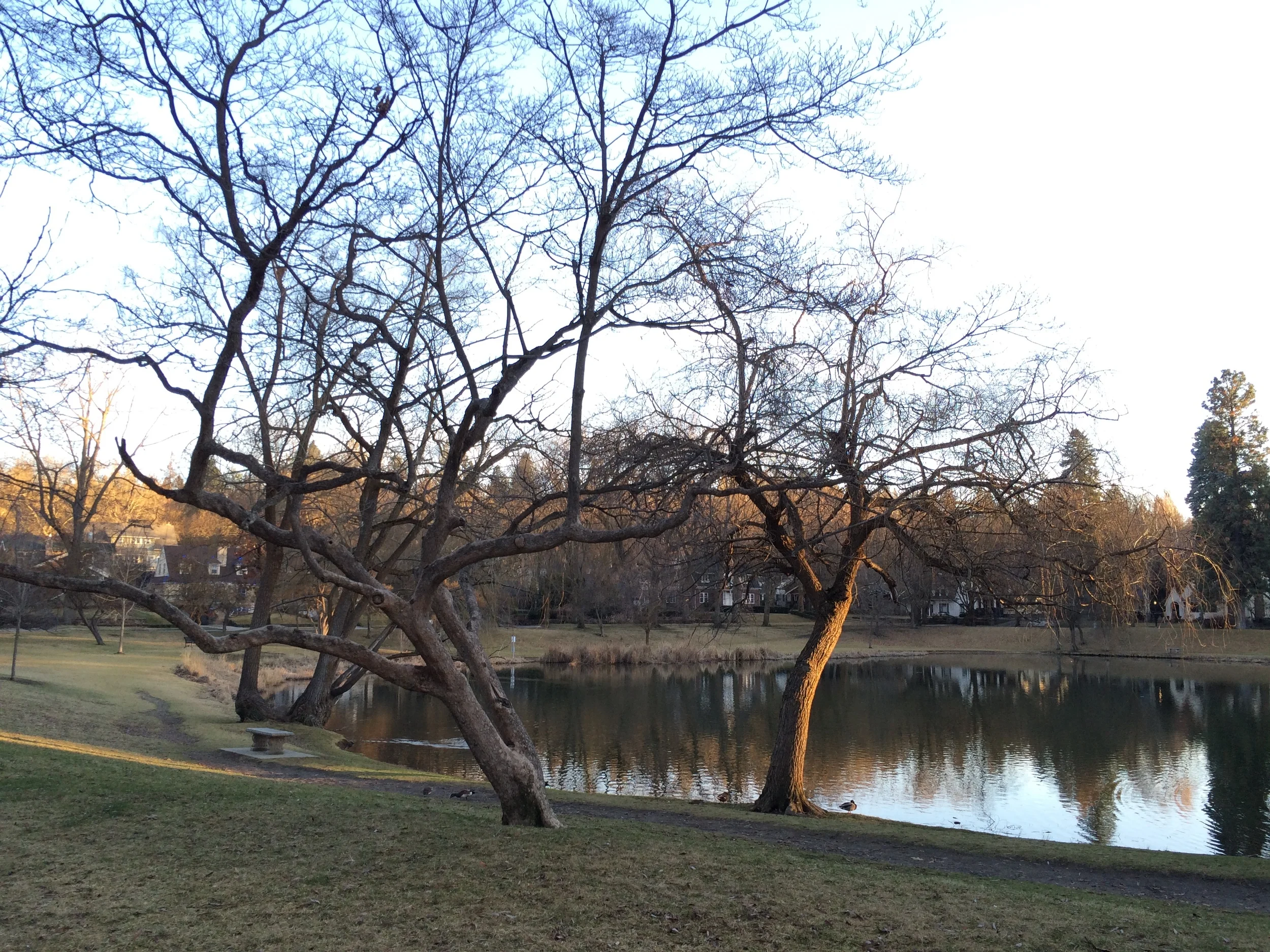 What I'm Into {a snapshot of February 2015}