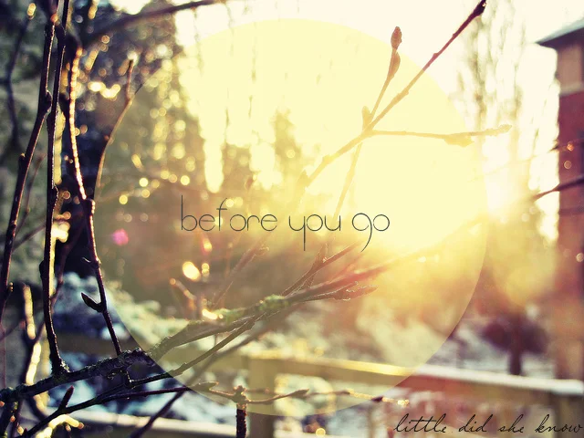 beforeyougo