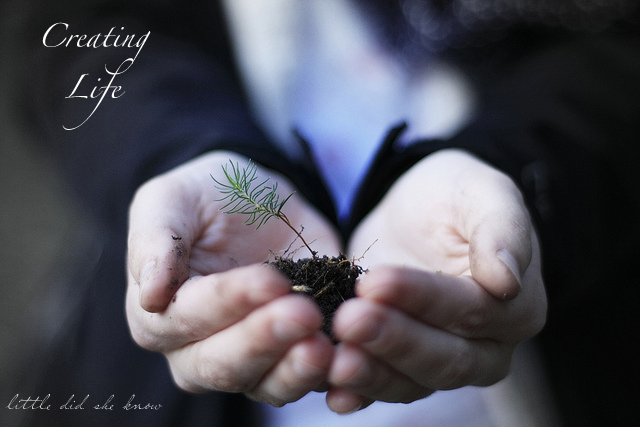Creating Life
