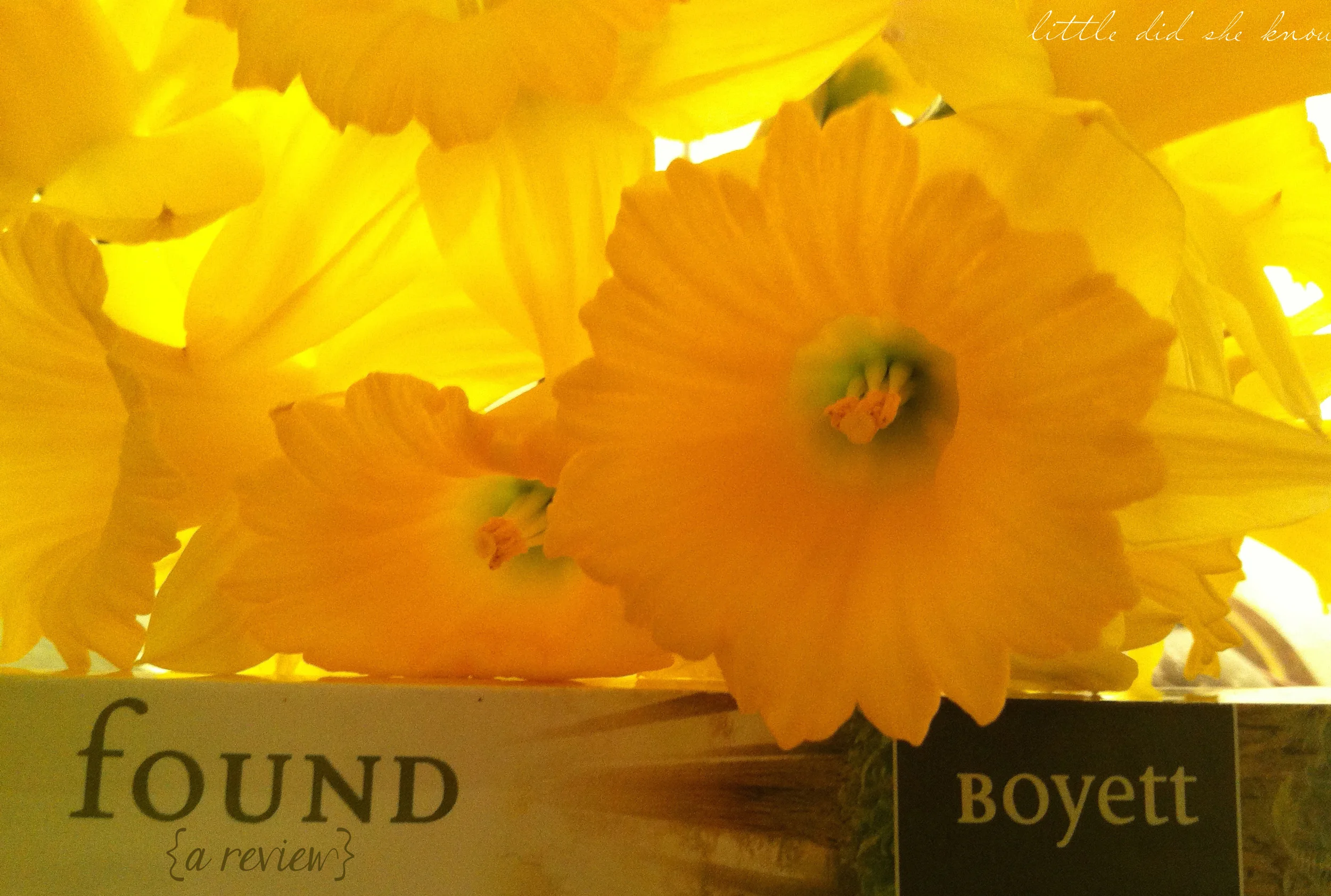 Found {a review}