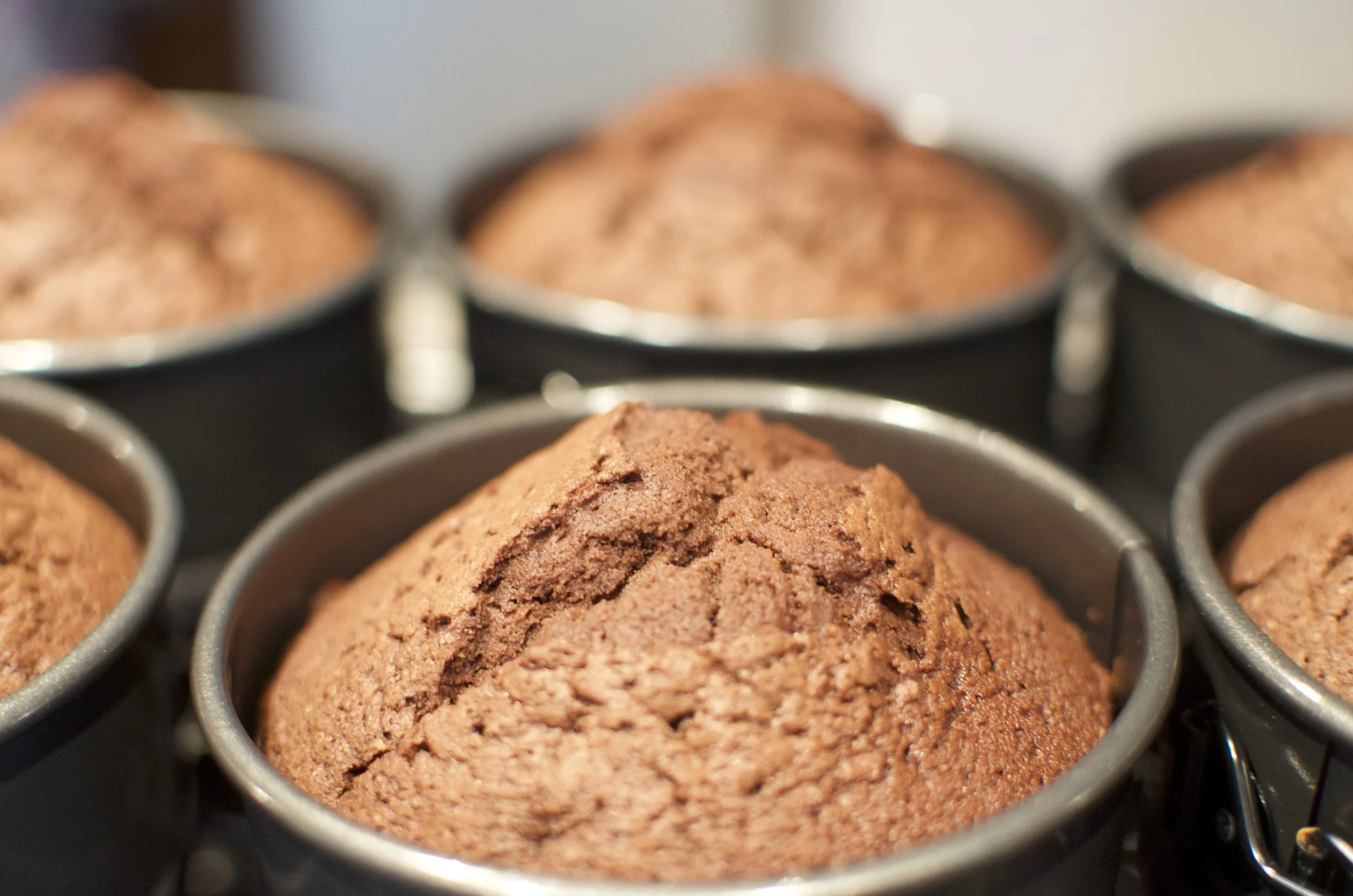 Birthday Cake: Abroad {at You Are Here}