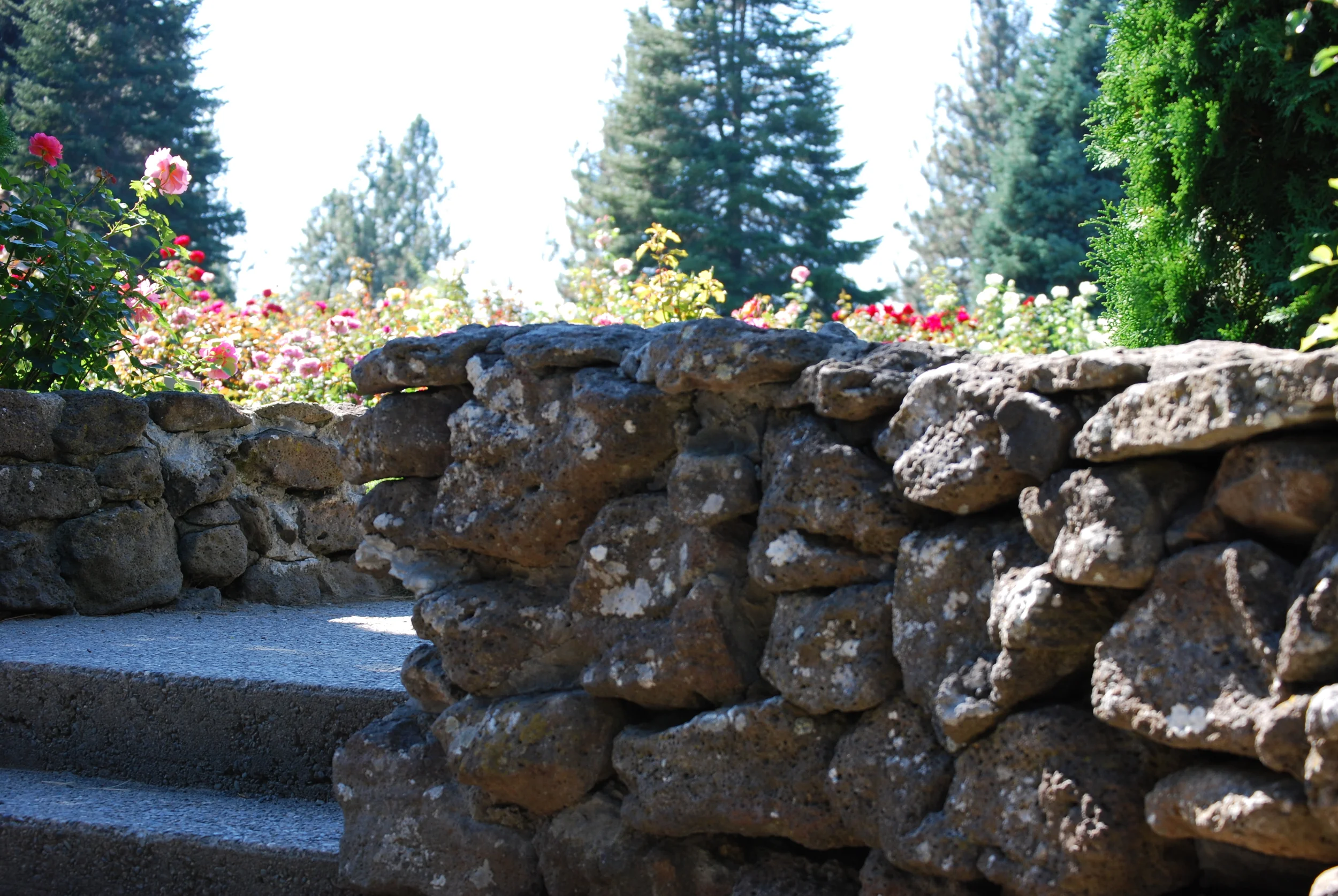 A Park Called Manito {at You Are Here}