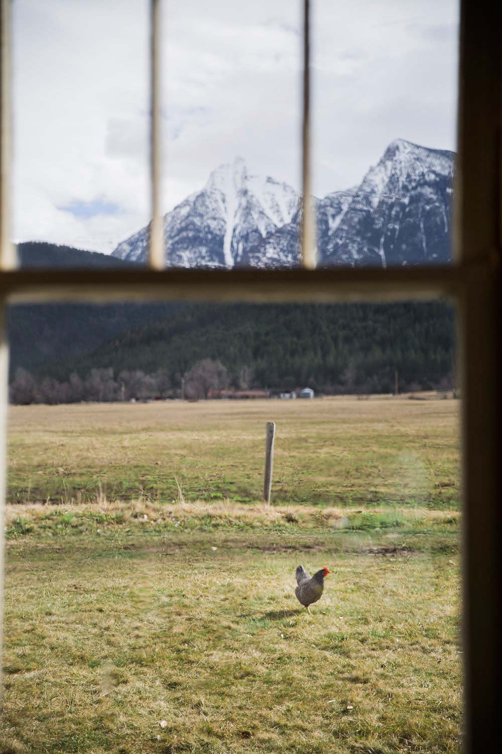 Montana Cabin Elopement Wedding