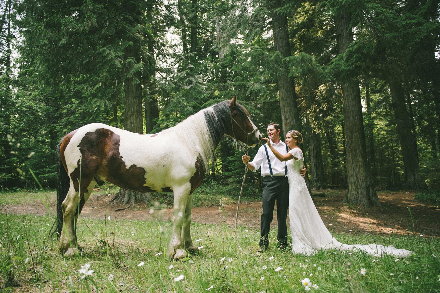 Glacier Park Destination Elopement