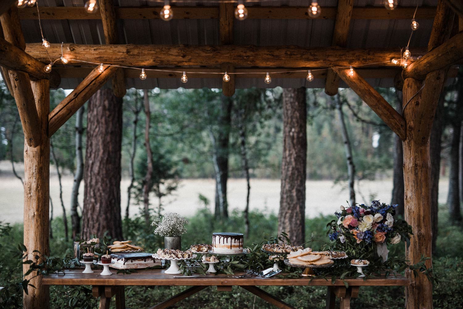 Montana Outdoor Wedding