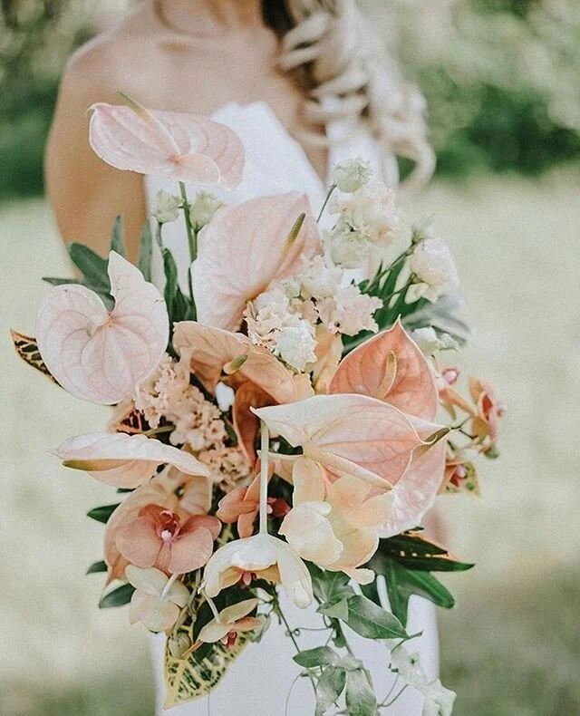 Sending May Day love, draping you all in (virtual) leis. / Photo of our lovely bride, Holly, by @cluneyphoto, with a pure magic tropical bouquet by @habitatfloralstudio, against the backdrop of @greenvalleyranchmontana.
#maydayisleiday #maydayisleid