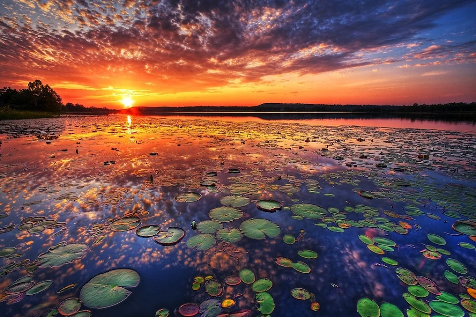 amazing sunset .jpg