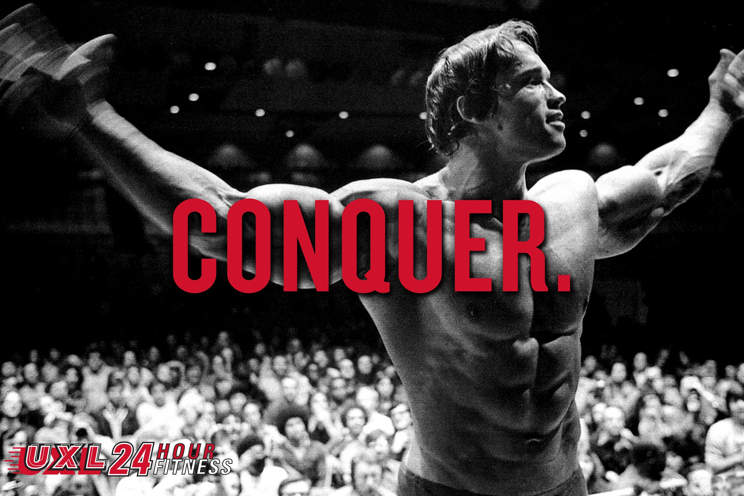 MotivPoster_Arnold.jpg