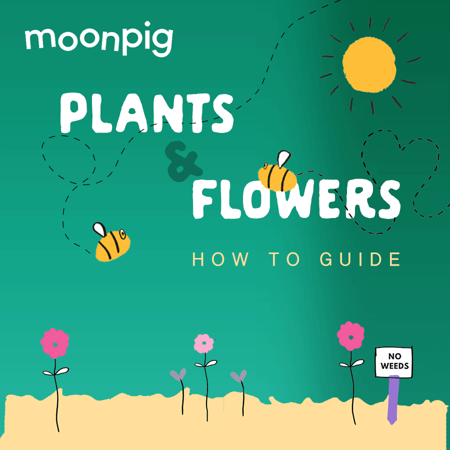Flowers.gif