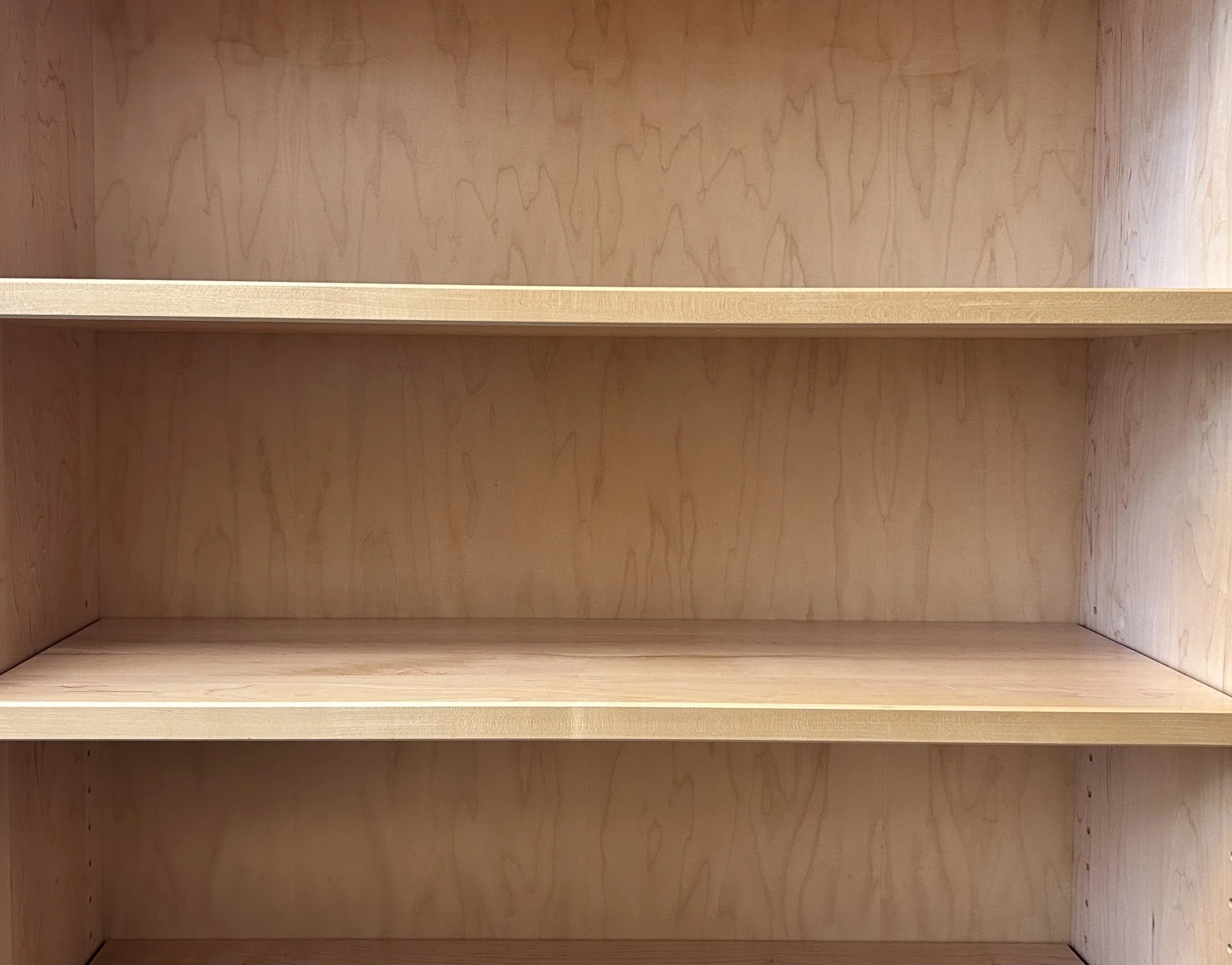 Photo of an empty bookcase