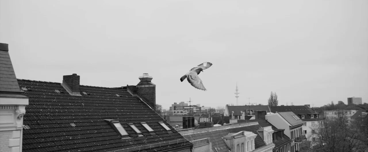 ANDREAS BOURANI - Ultraleicht