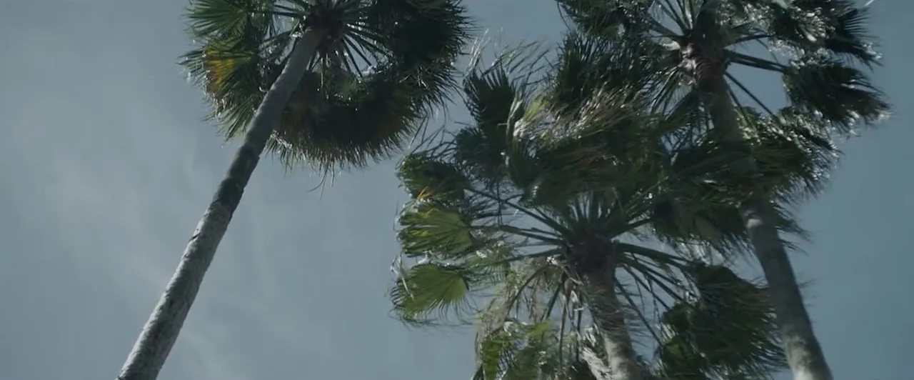 ADEL TAWIL - Kartenhaus