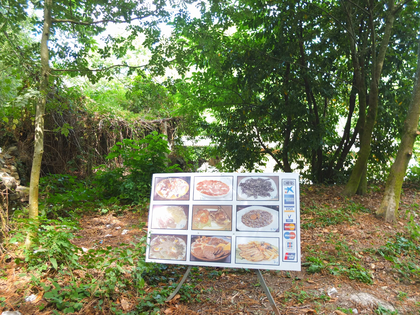 CAMINO-3.jpg