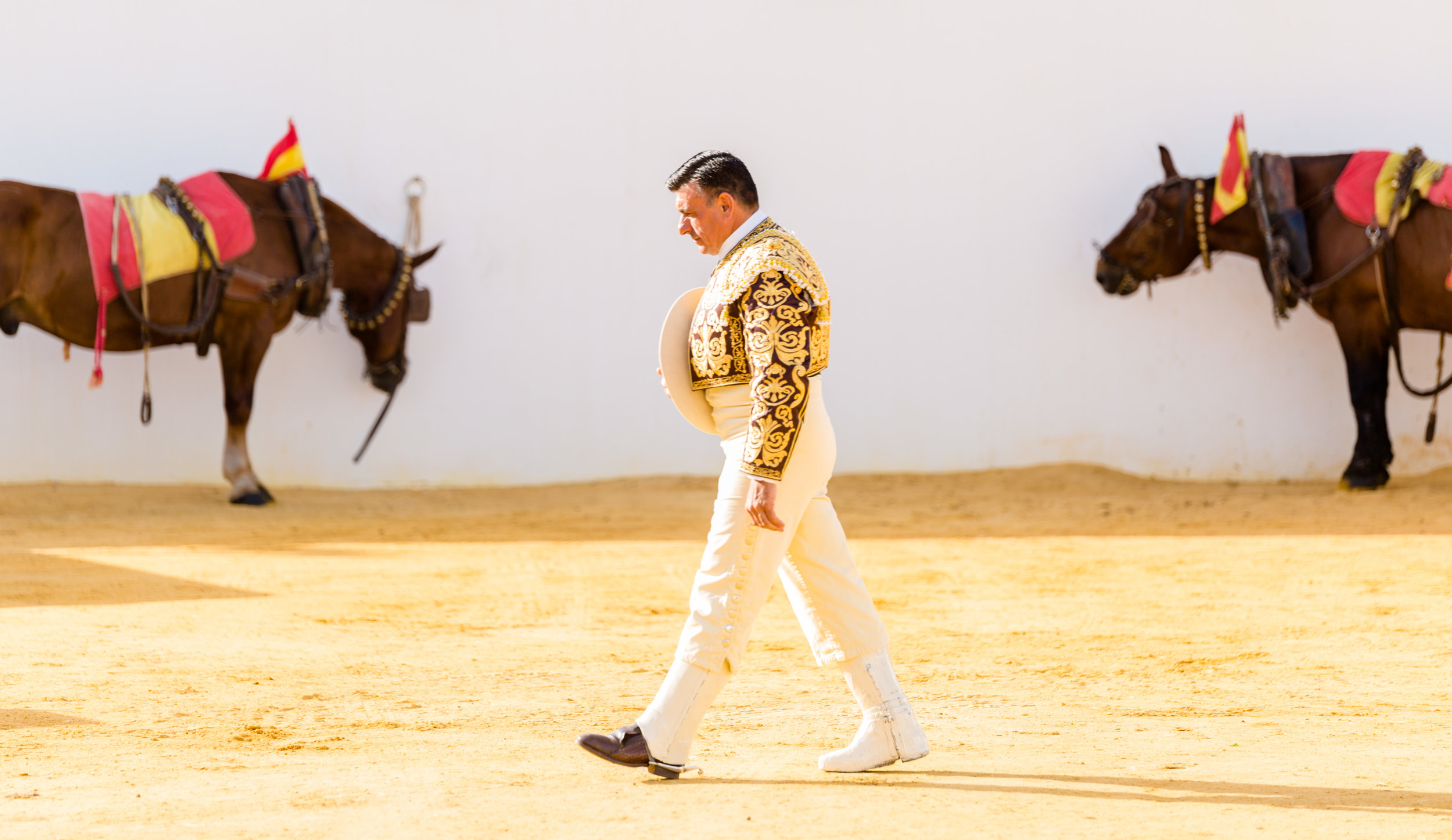  Plaza de toros de Roquetas de Mar. 2017 