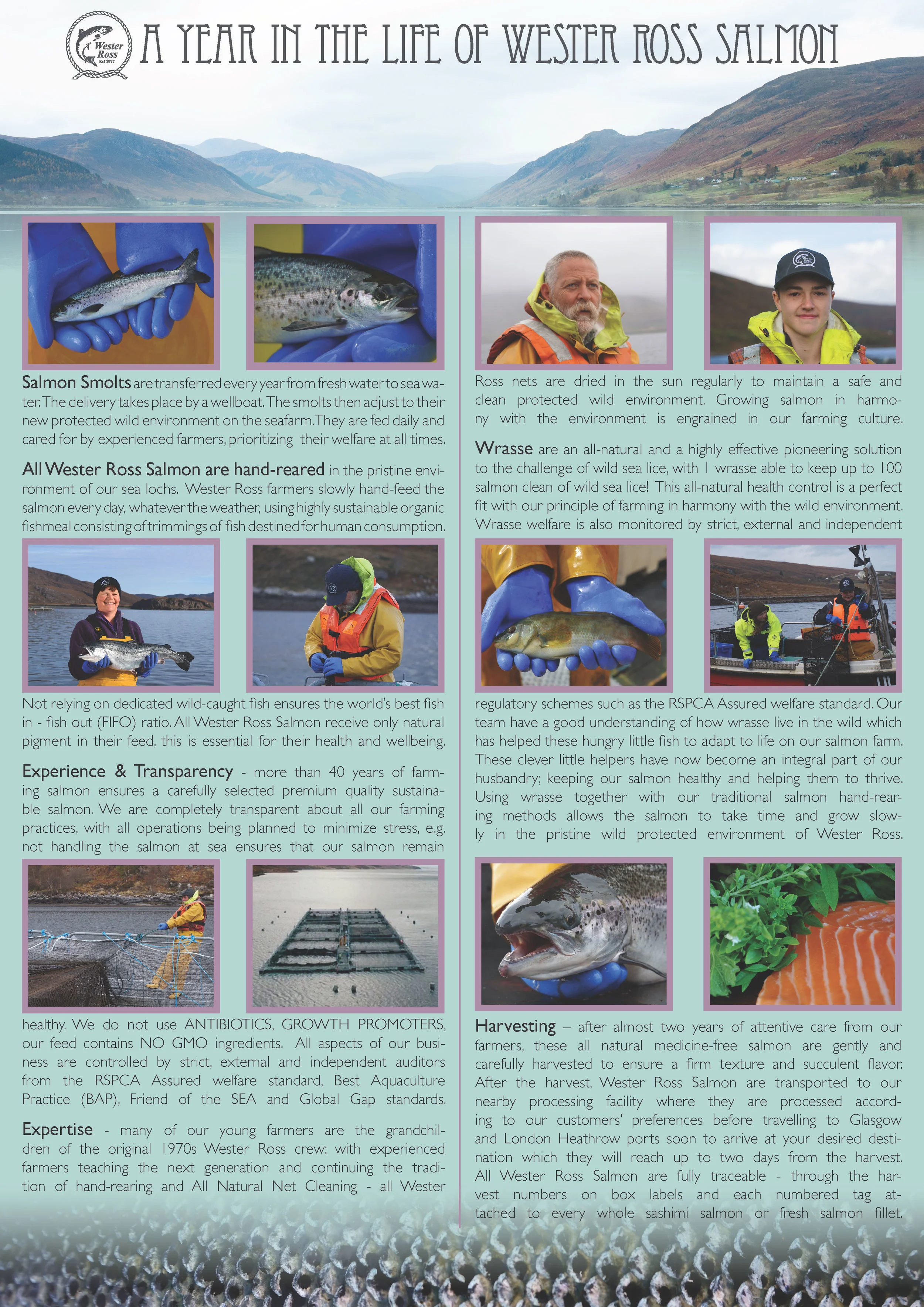 Wester Ross leaflet jpeg.jpg