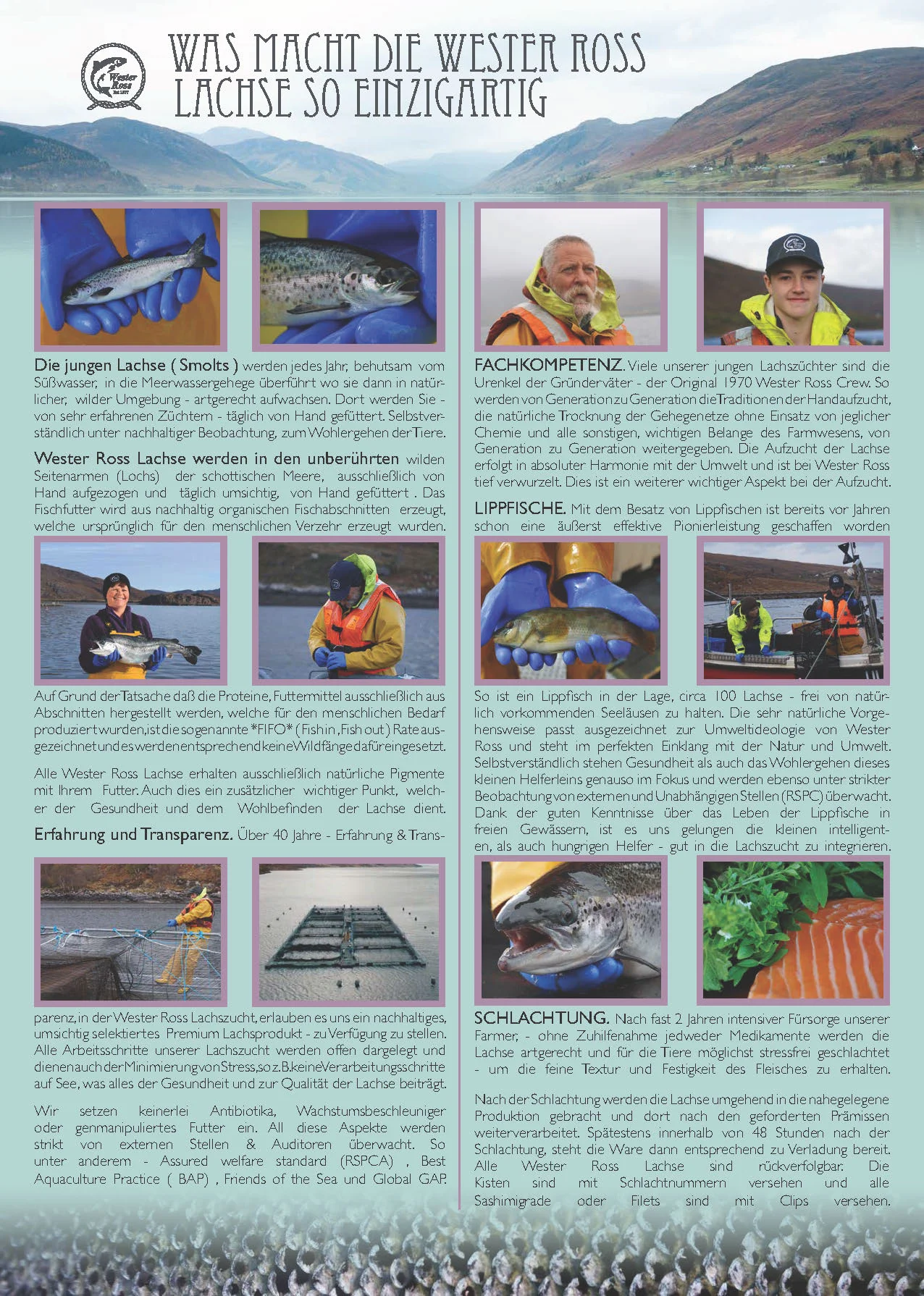 German leaflet jpeg page 1.jpg
