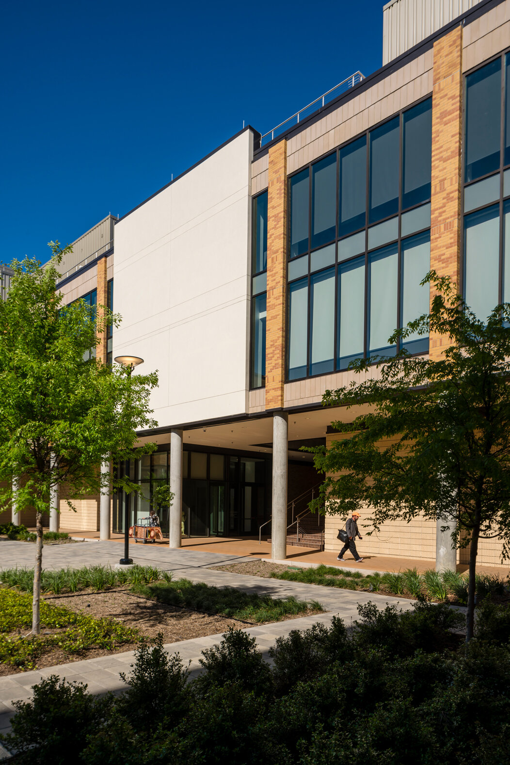 UNT_Corgan_039.jpg