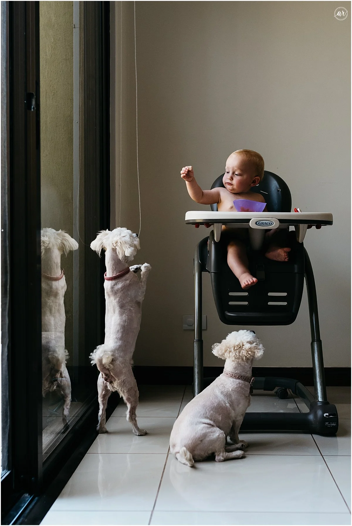 Kenzie is feeding the doggies!!! We finished the story!!! Yay!!!!! We finished the story! We finished, we finished. We finished the story. Yay ya ya ya ya ya we finished the story, yeah yeah we finished the story! 