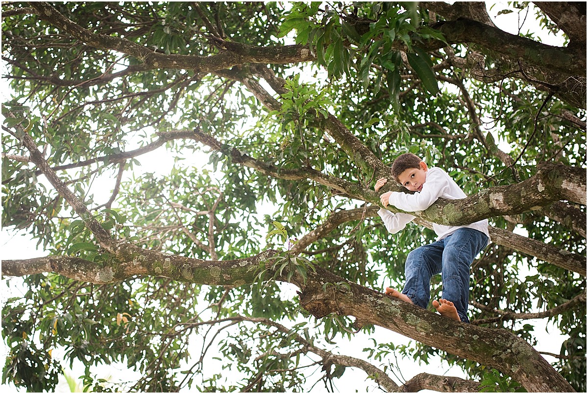 boy climbing a tree at his house in Cuidad Colon, Costa Rica