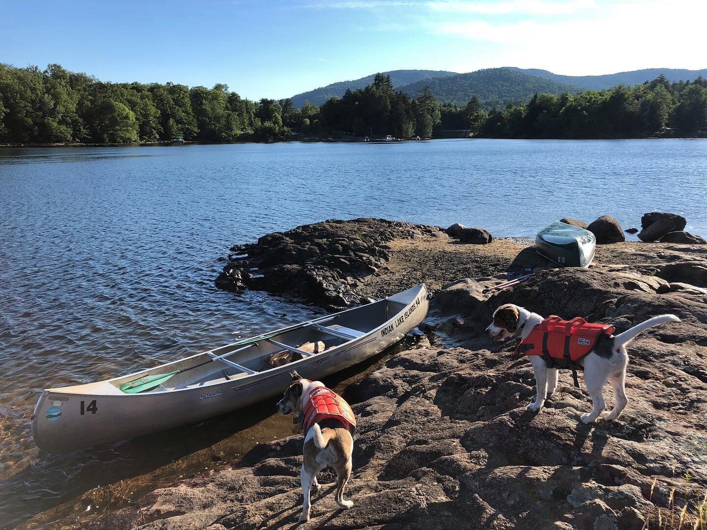 Ready for the weekend!
&amp; camping season
&amp; summer
&amp; dogs in life jackets 🛶🐶⛰
#camping #adirondacks #summer #dogsofinstagram #adventuretime #upstateny #canoecamping