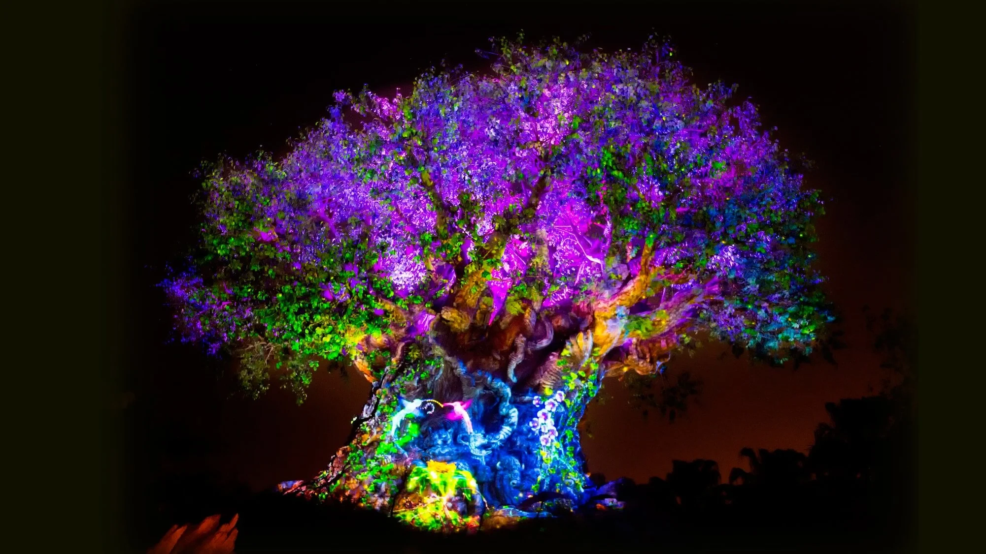 TreeOfLife.jpg