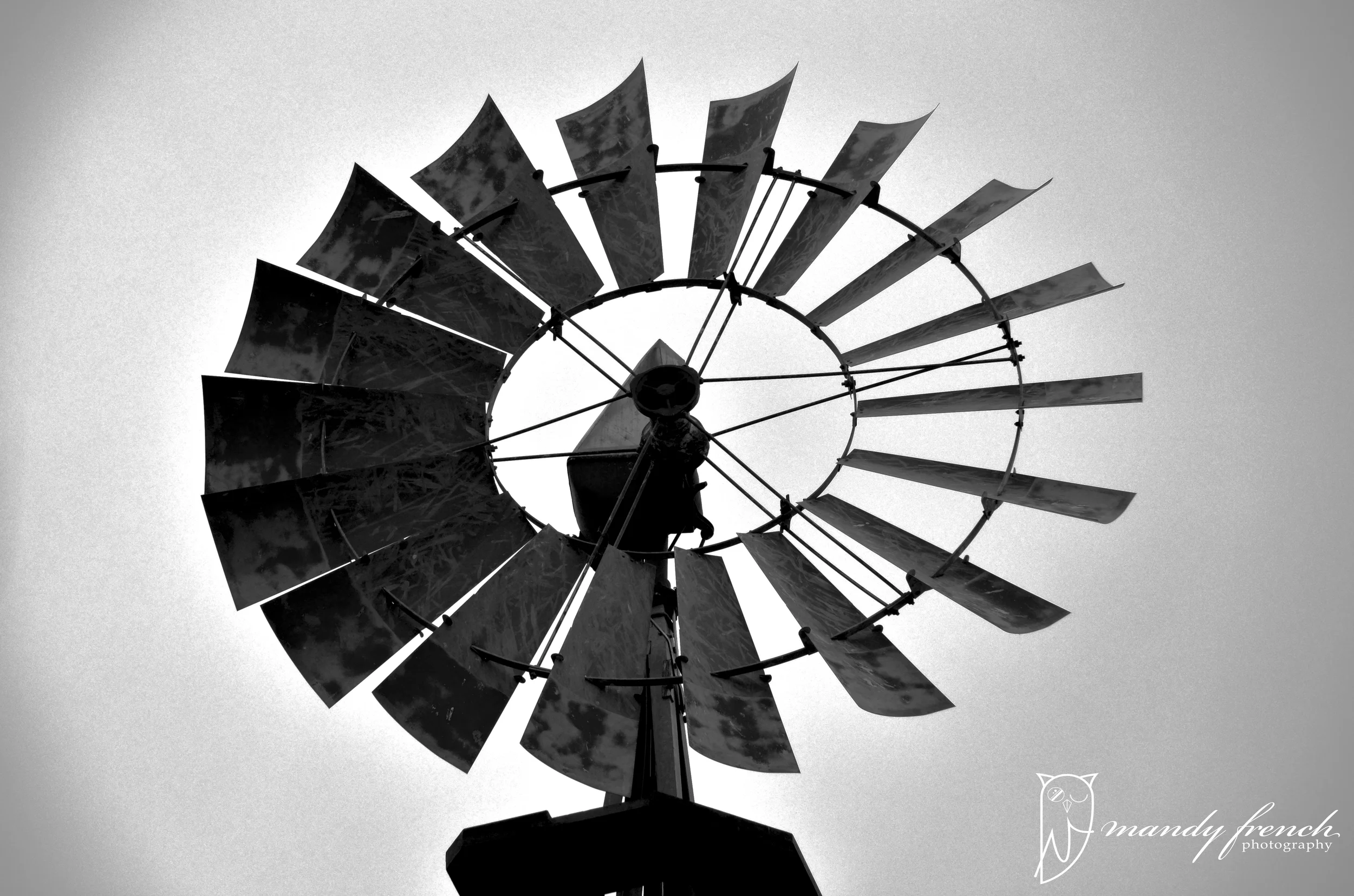 WindmillBWWM.jpg