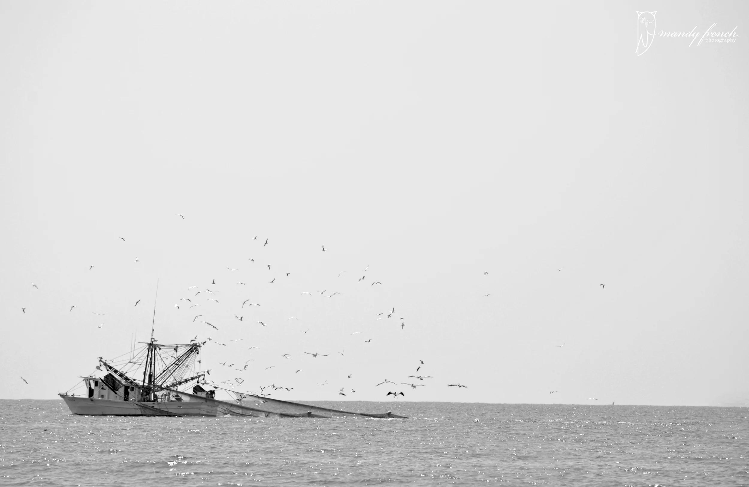 ShrimpBoatAugust2014bwWM.jpg