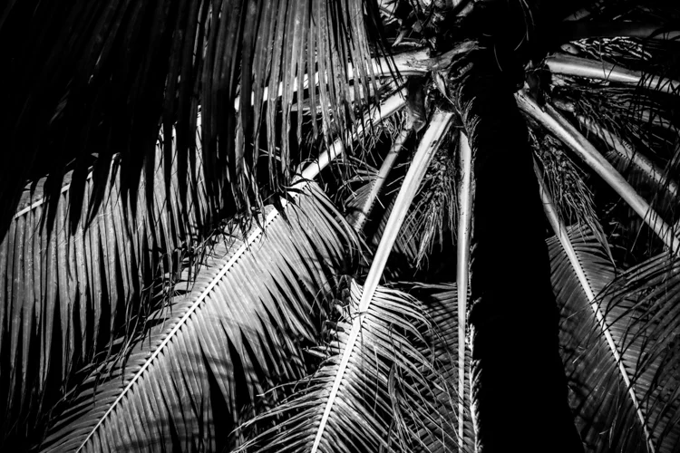 Copyright © MKLKMB. All rights reserved.