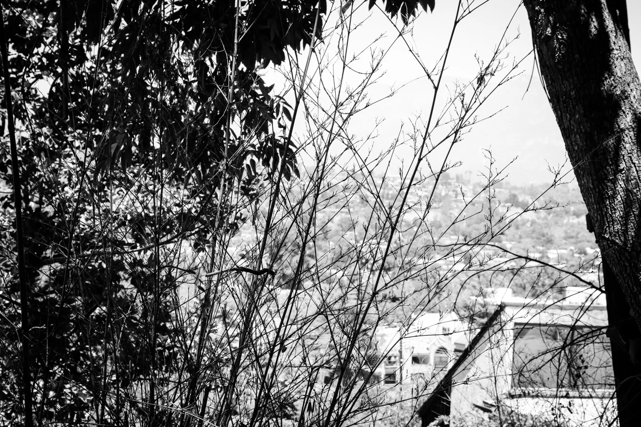 Copyright © MKLKMB. All rights reserved.