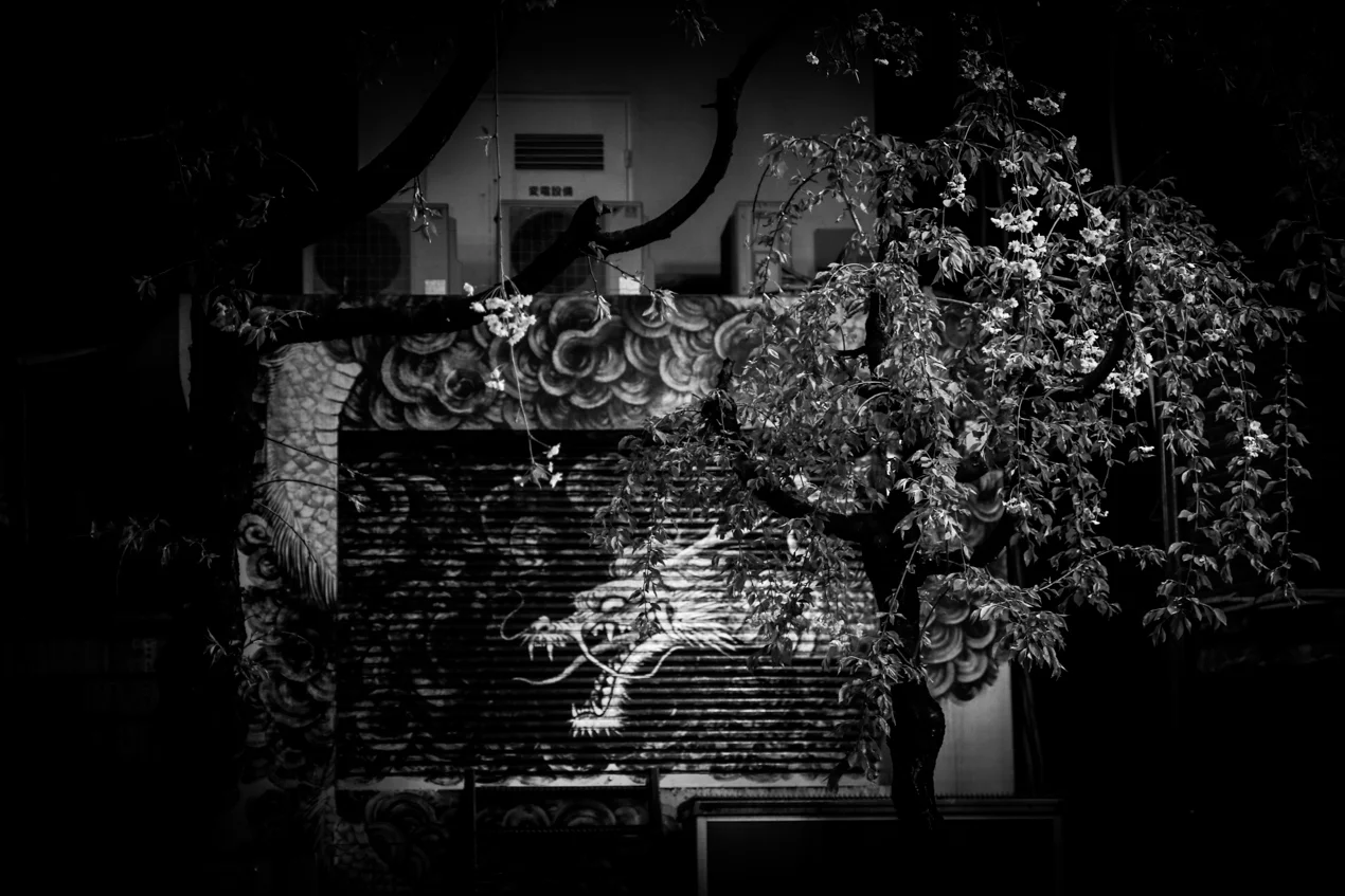Copyright © MKLKMB. All rights reserved.