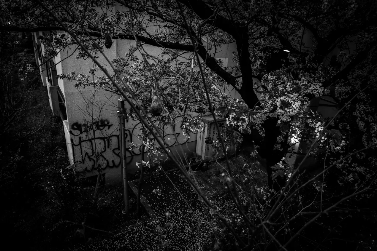 Copyright © MKLKMB. All rights reserved.