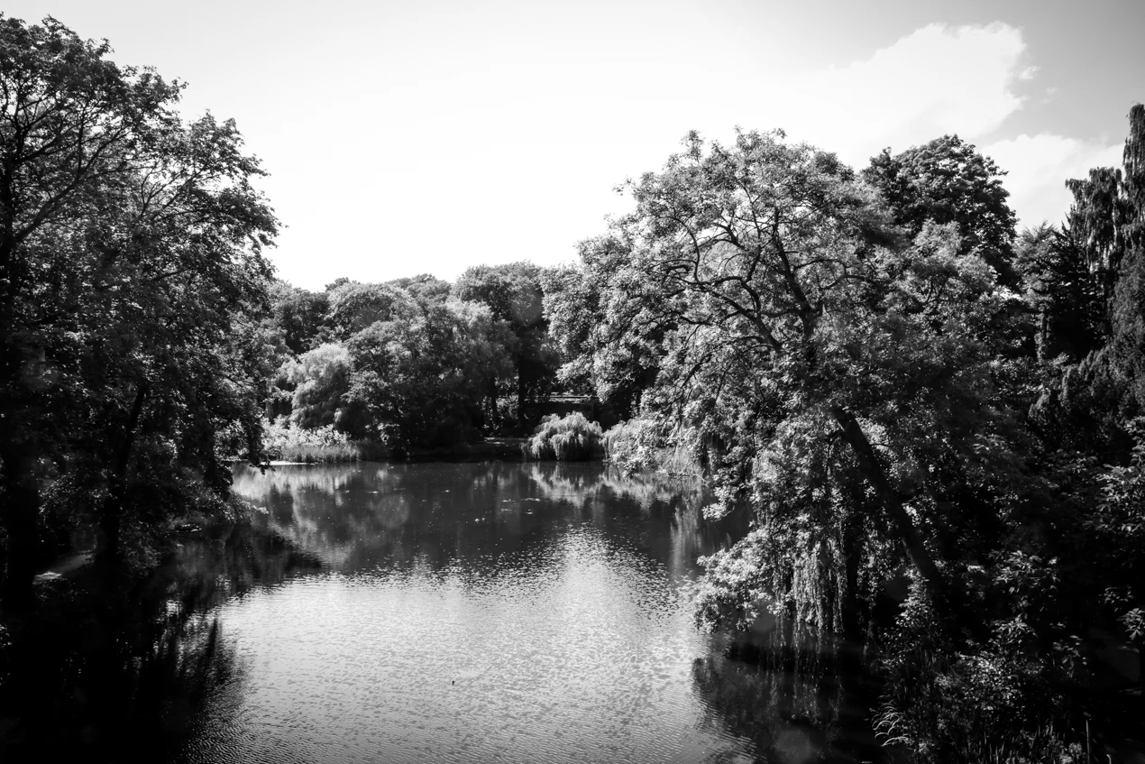 Copyright © MKLKMB. All rights reserved.