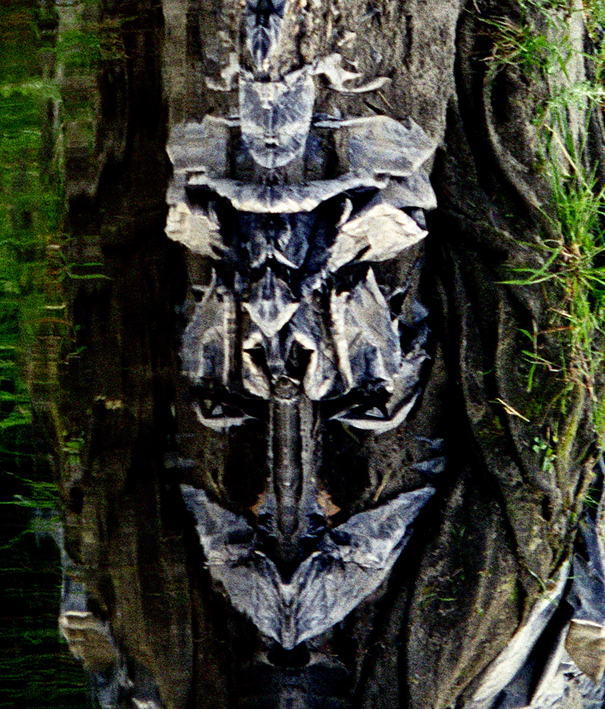 EmergingMask.jpeg