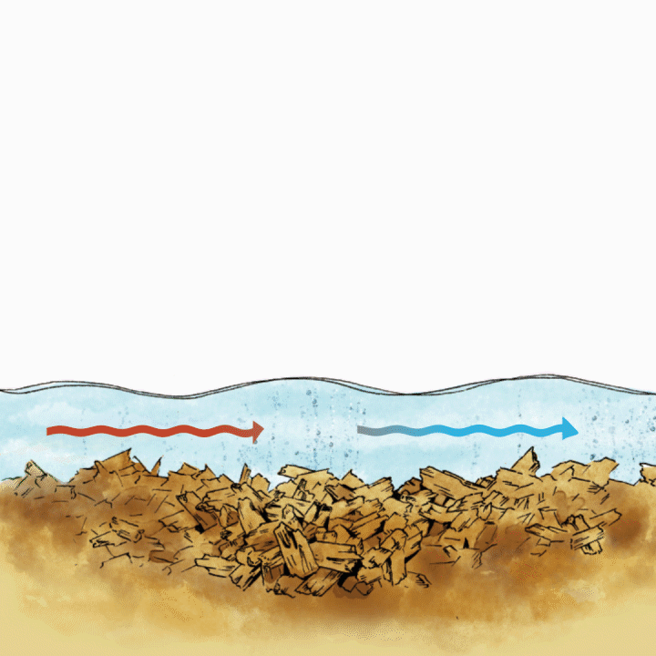 Bioreactor