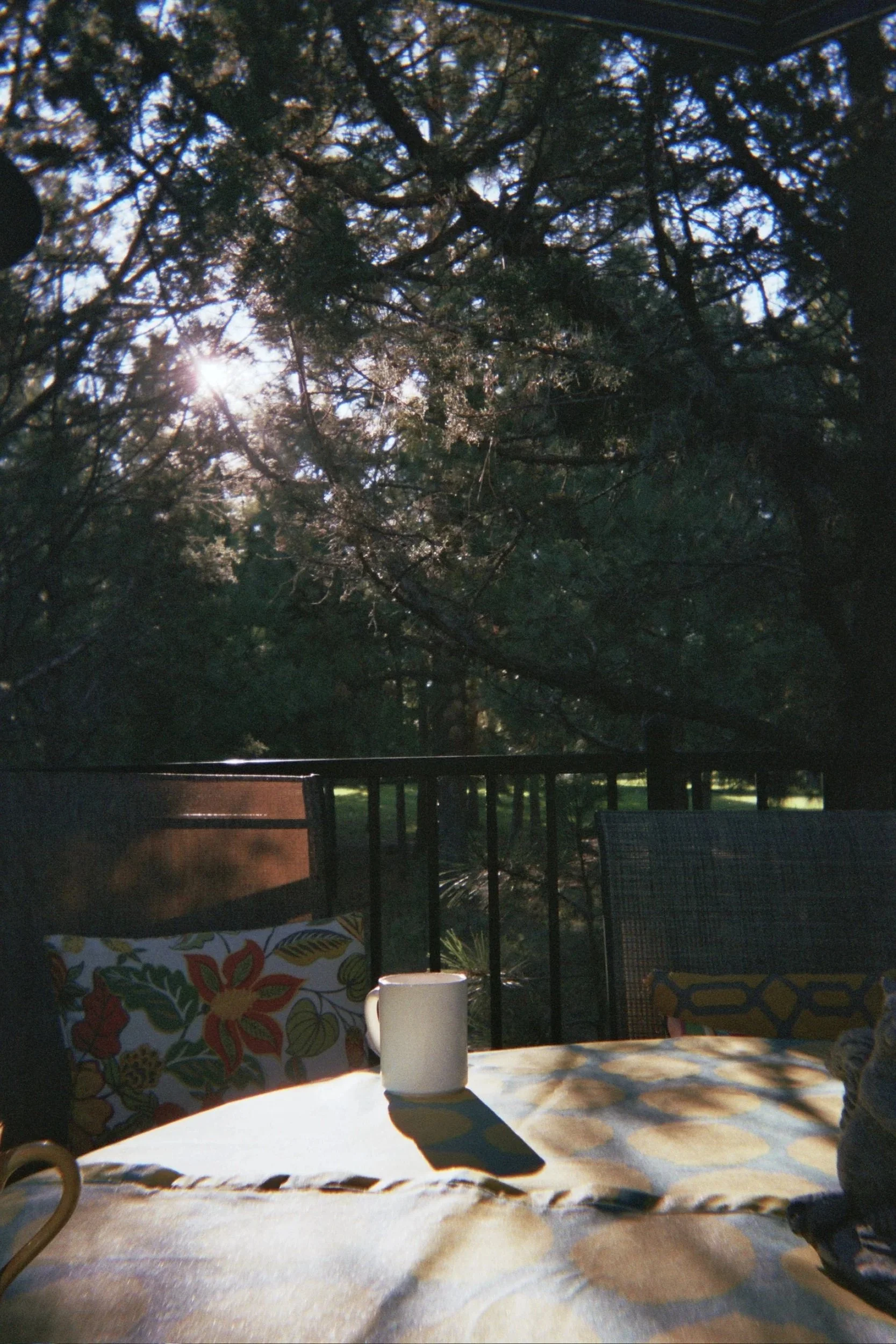 21A_0242.jpg
