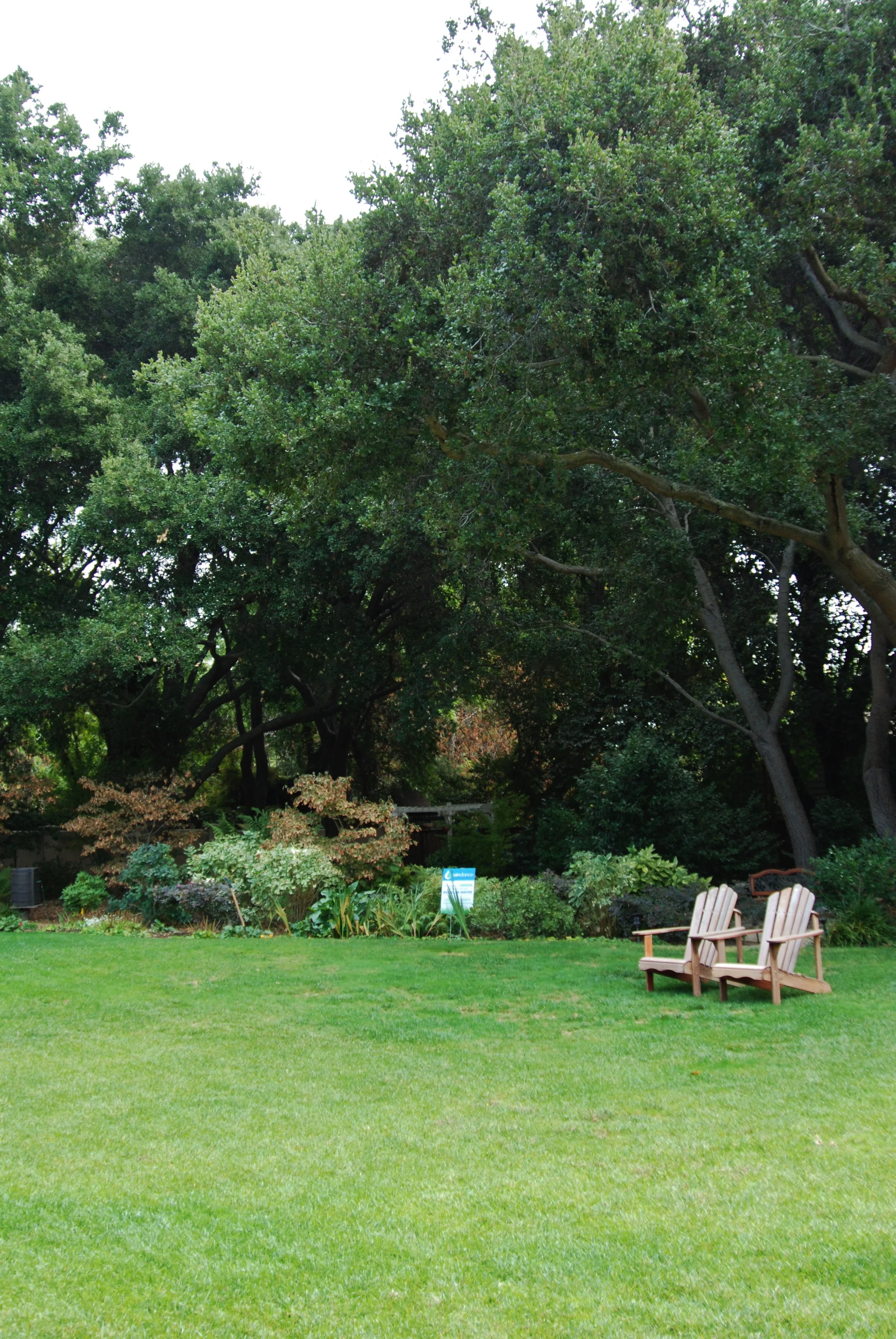 Glassey06.JPG