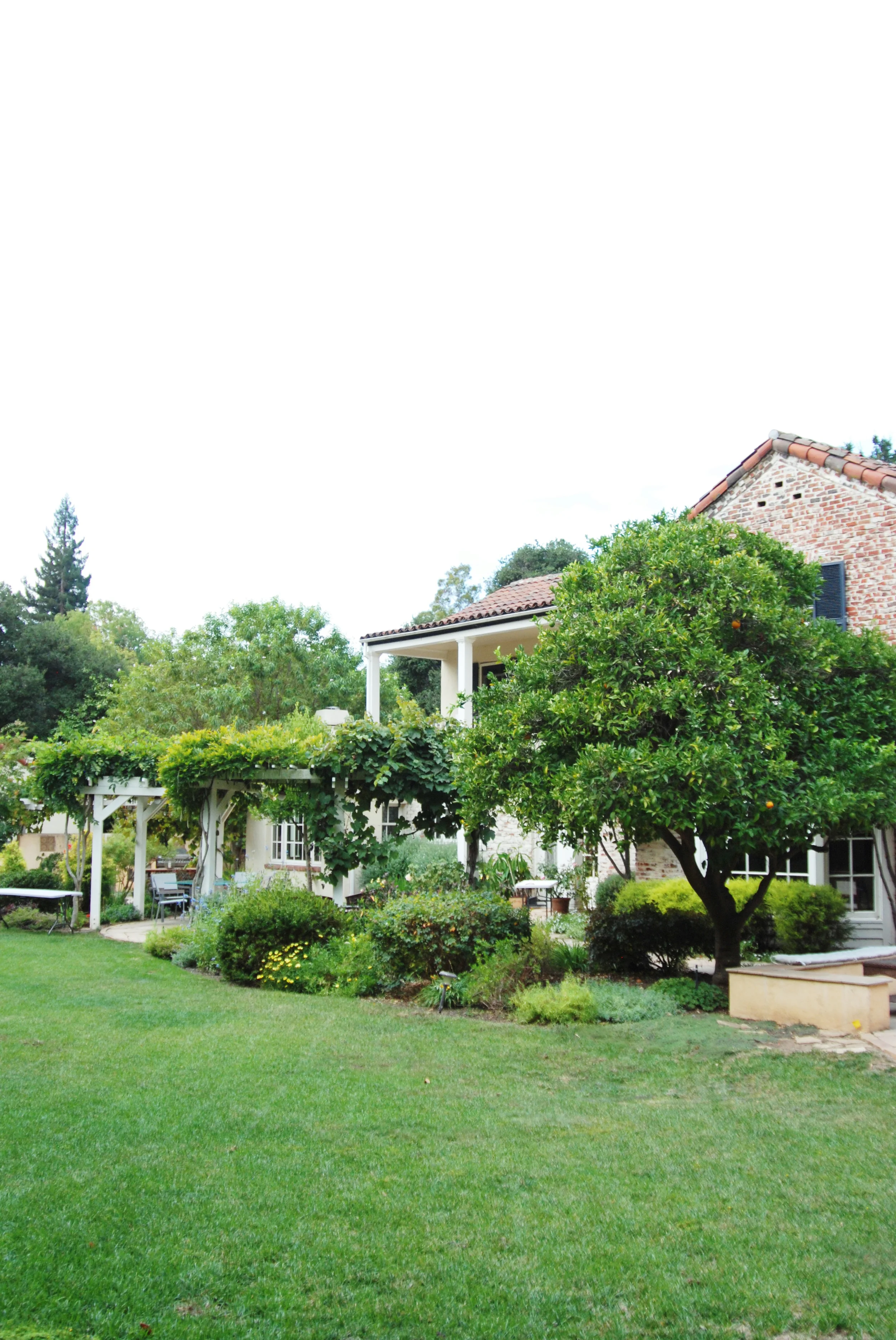 Glassey12.jpg