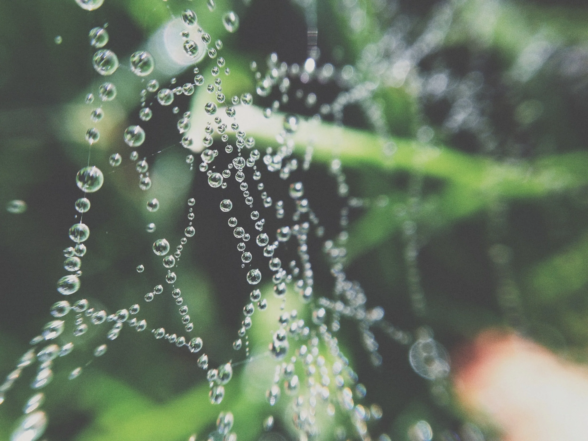 Water Drops.jpg