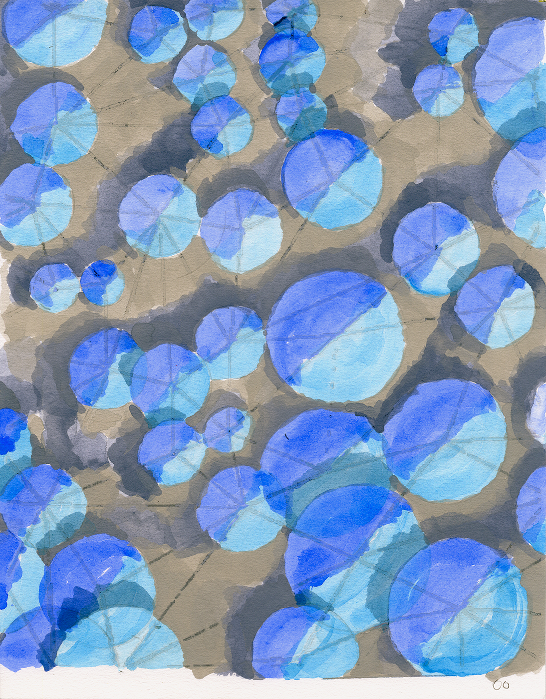 Bloom (Networks)