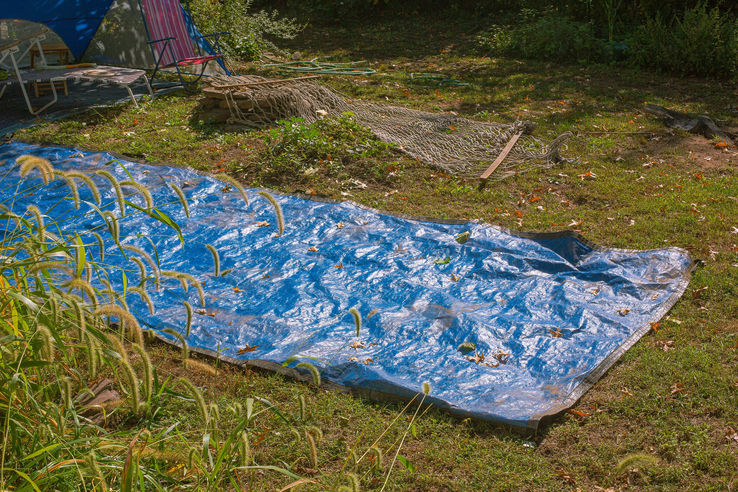 Tarp, Hamden, CT