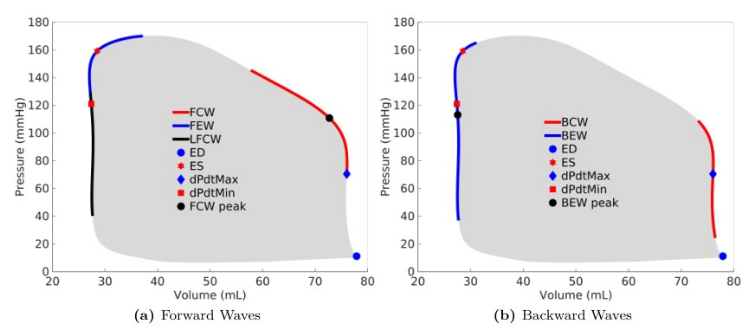 Coronary waves superimposed over LV pressure-volume loop. The data were collected simultaneously using a conduction catheter and a combowire