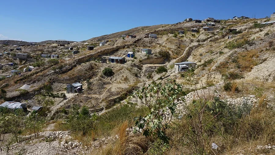 AfH_Haiti04.jpg
