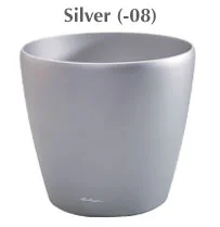 CLASS_SILVER.jpg